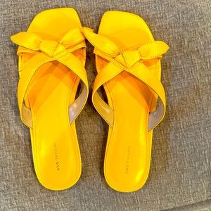 Ann Taylor 8.5. Mustard yellow flat sandal. Never worn